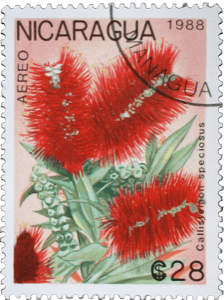 Nicaragua stamp